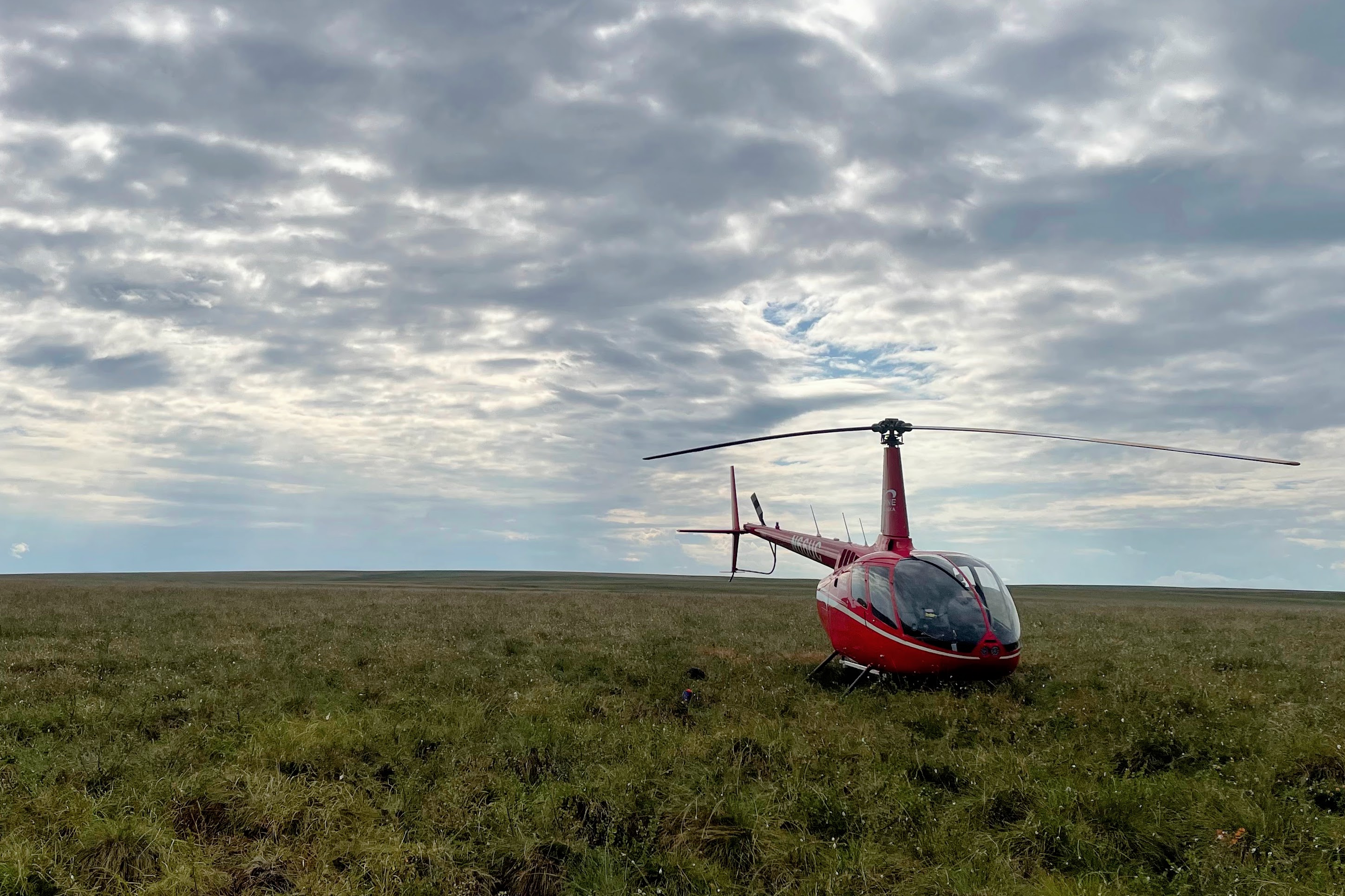 Arctic Wildfire and Permafrost AI Detection
